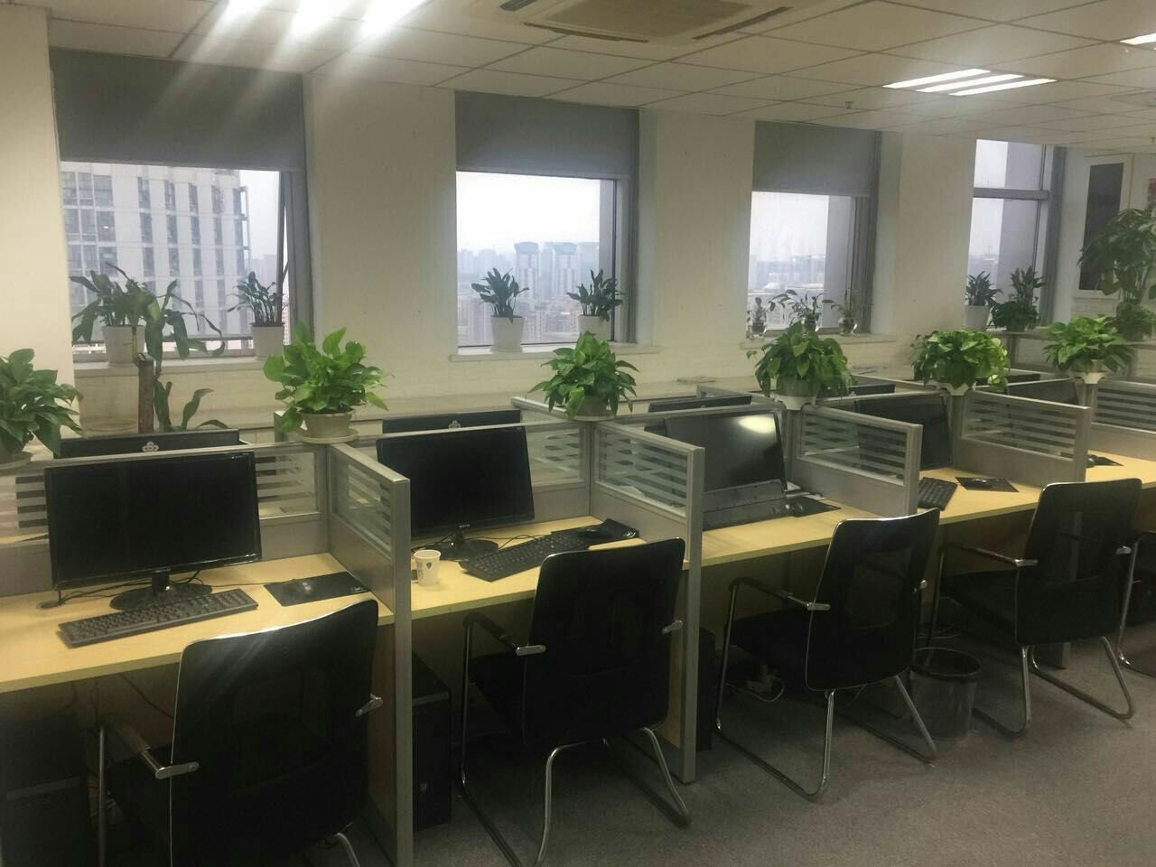 南京泓聚慧丰商务信息咨询 专业与智慧并重的企业服务伙伴